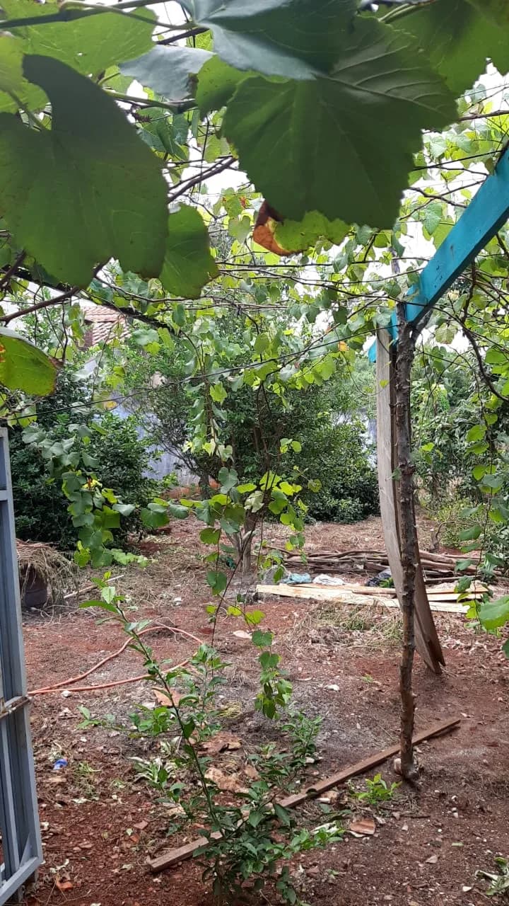 casa à venda no Jardim Morada do Sol, Ibiporã