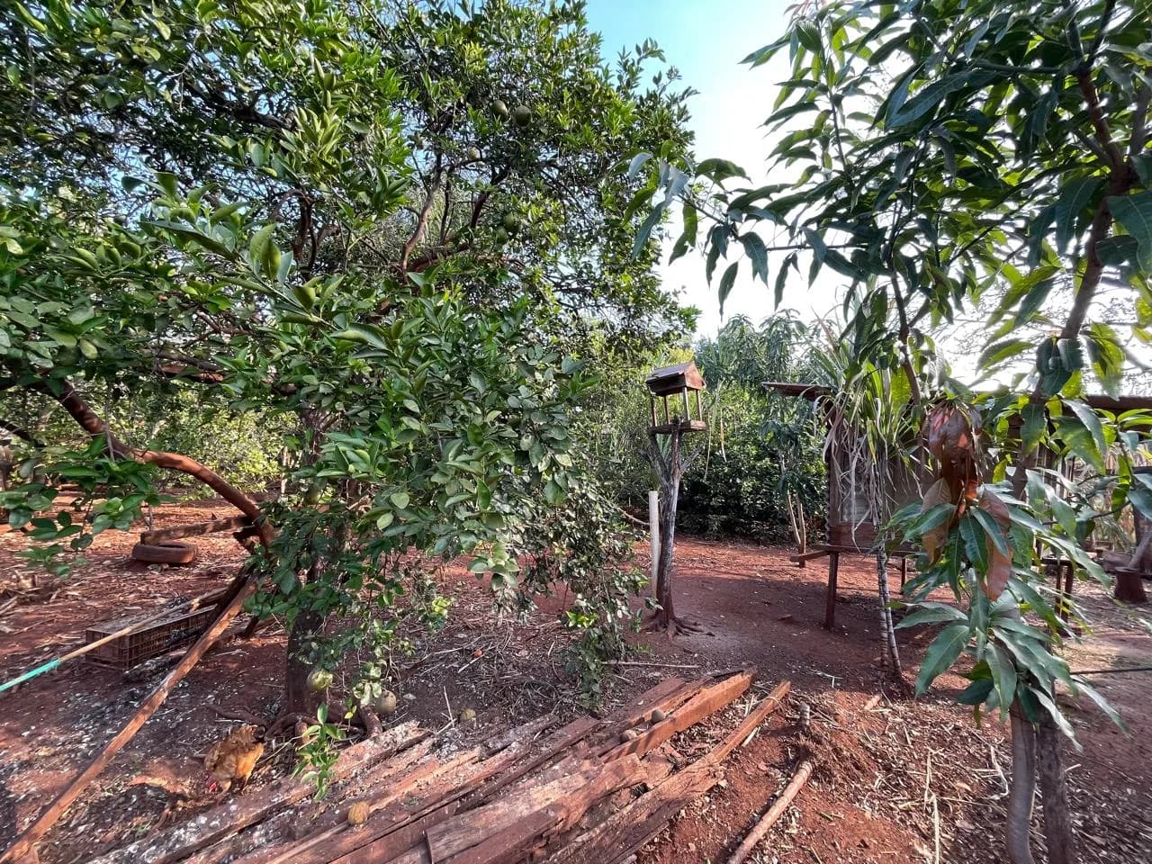 chacara à venda no Recanto do Engenho, Ibiporã