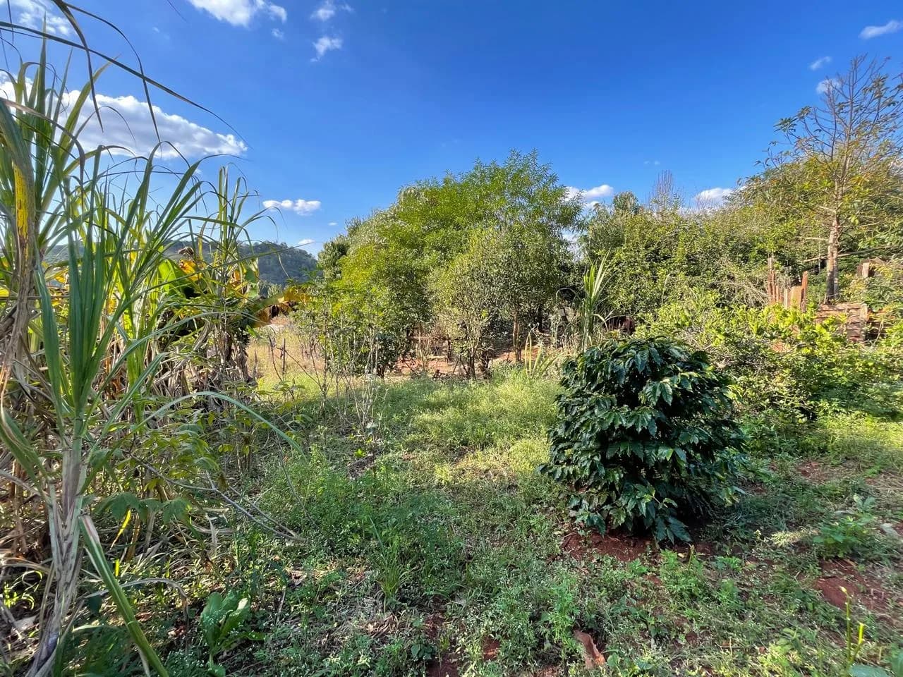 chacara à venda no Recanto do Engenho, Ibiporã