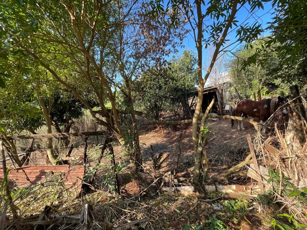 chacara à venda no Recanto do Engenho, Ibiporã