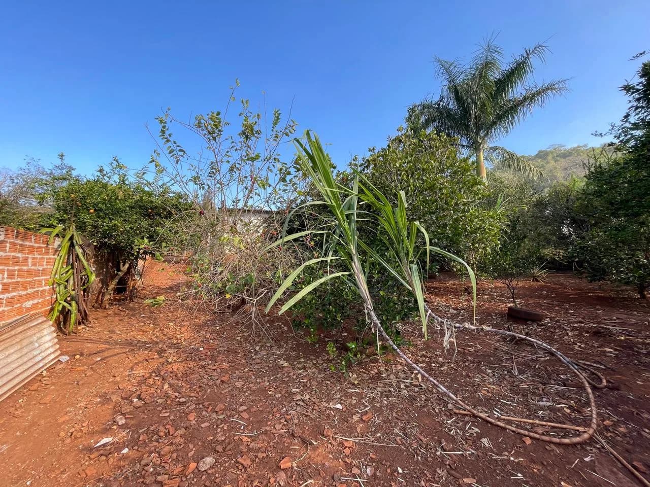 chacara à venda no Recanto do Engenho, Ibiporã