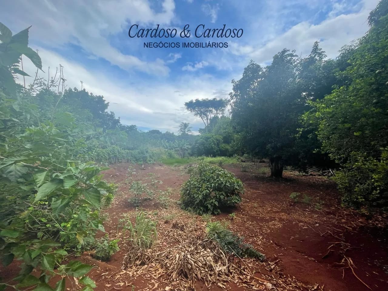 chacara à venda no Recanto do Engenho, Ibiporã