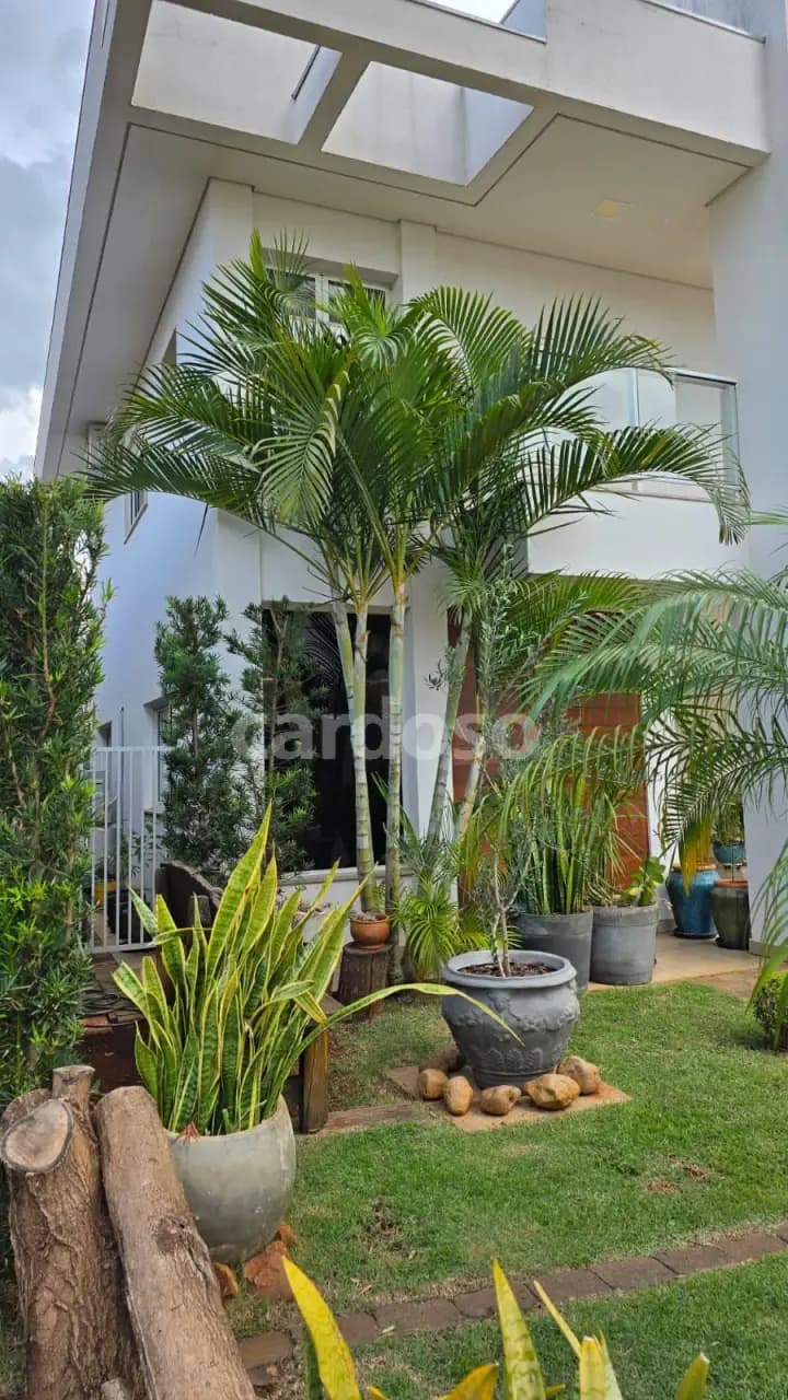 casa para alugar em Londrina