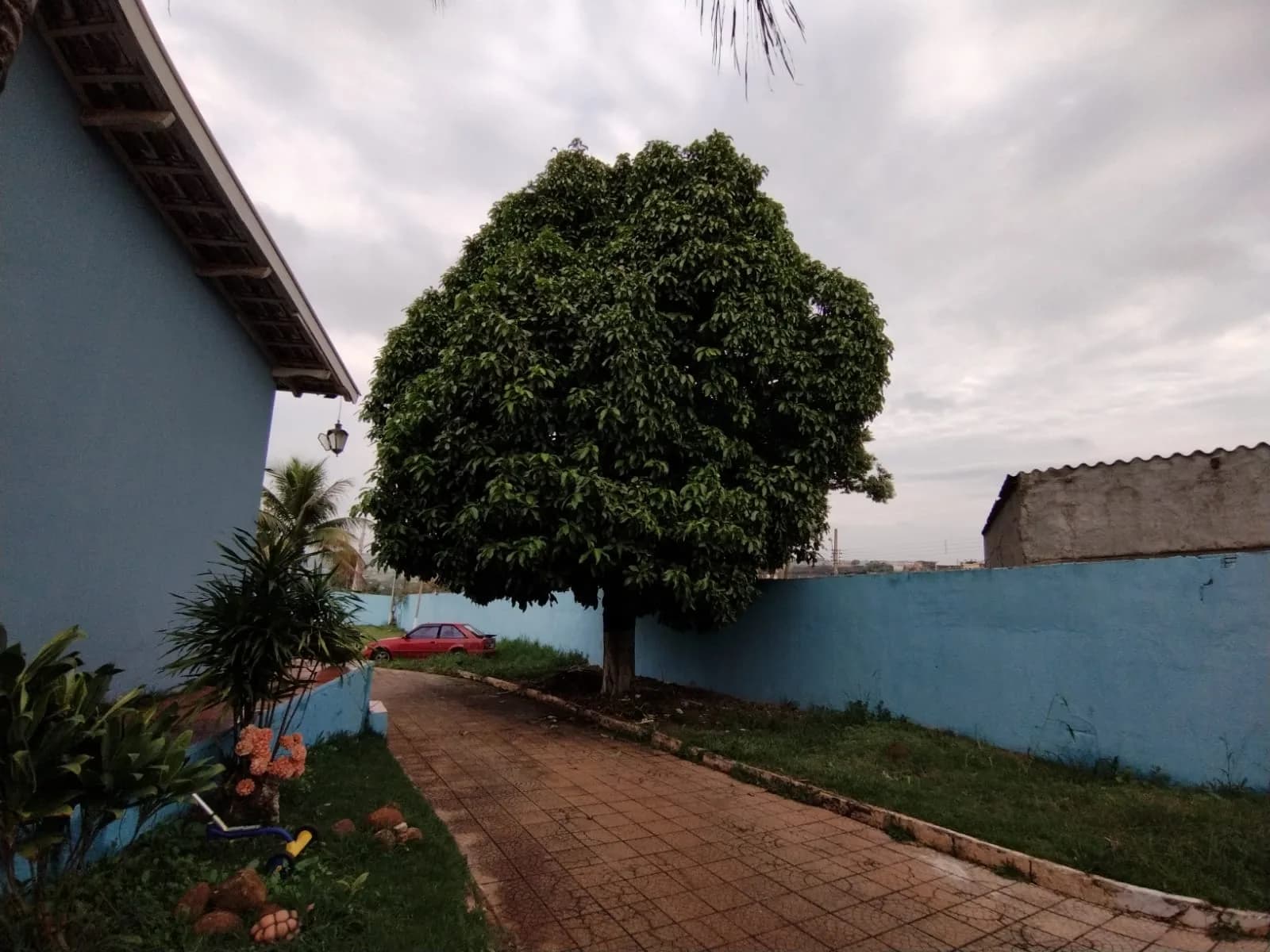 chacara à venda no Centro, Ibiporã