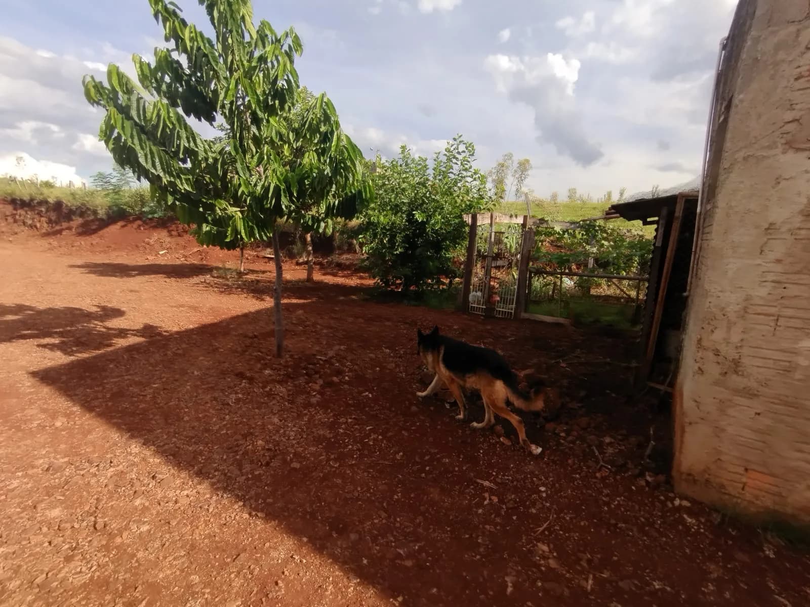 terreno à venda no Jardim Casagrande, Ibiporã