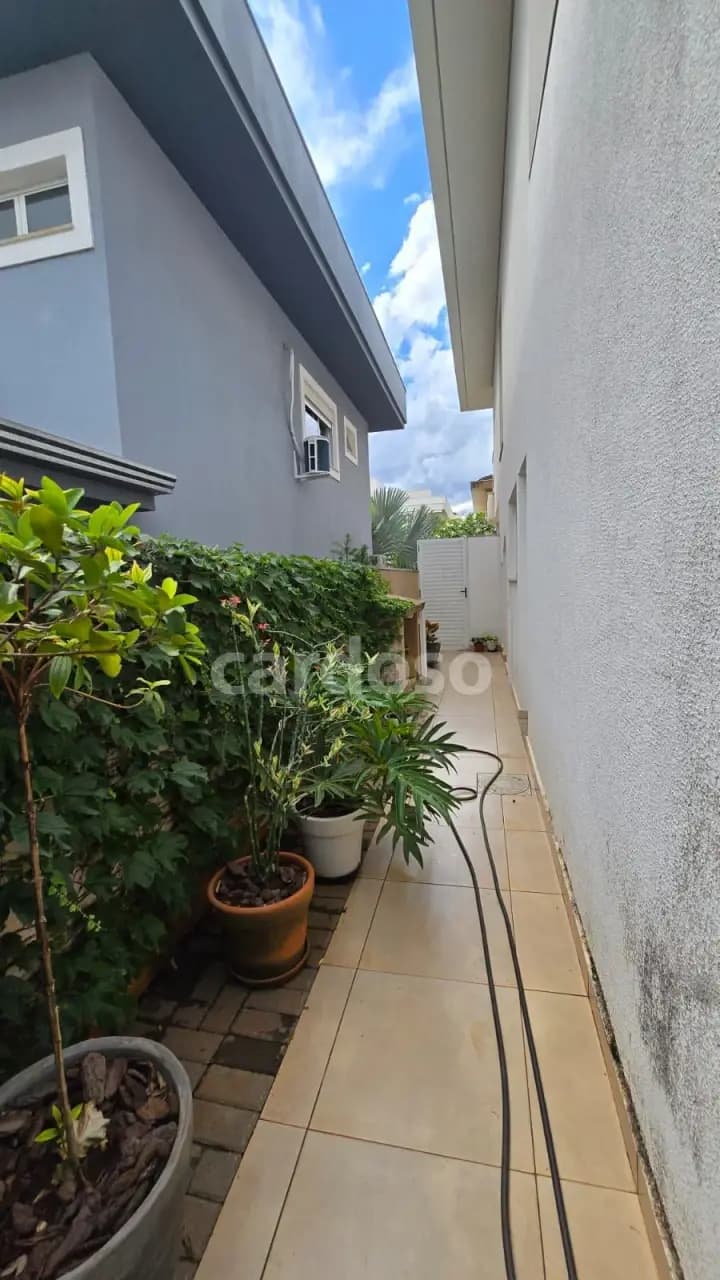 casa para alugar em Londrina