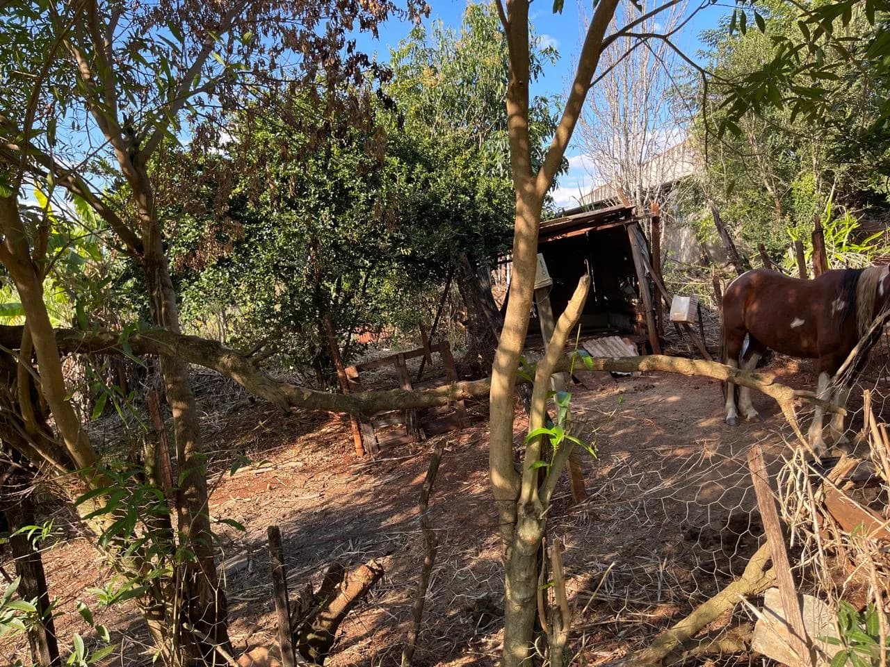 chacara à venda no Recanto do Engenho, Ibiporã