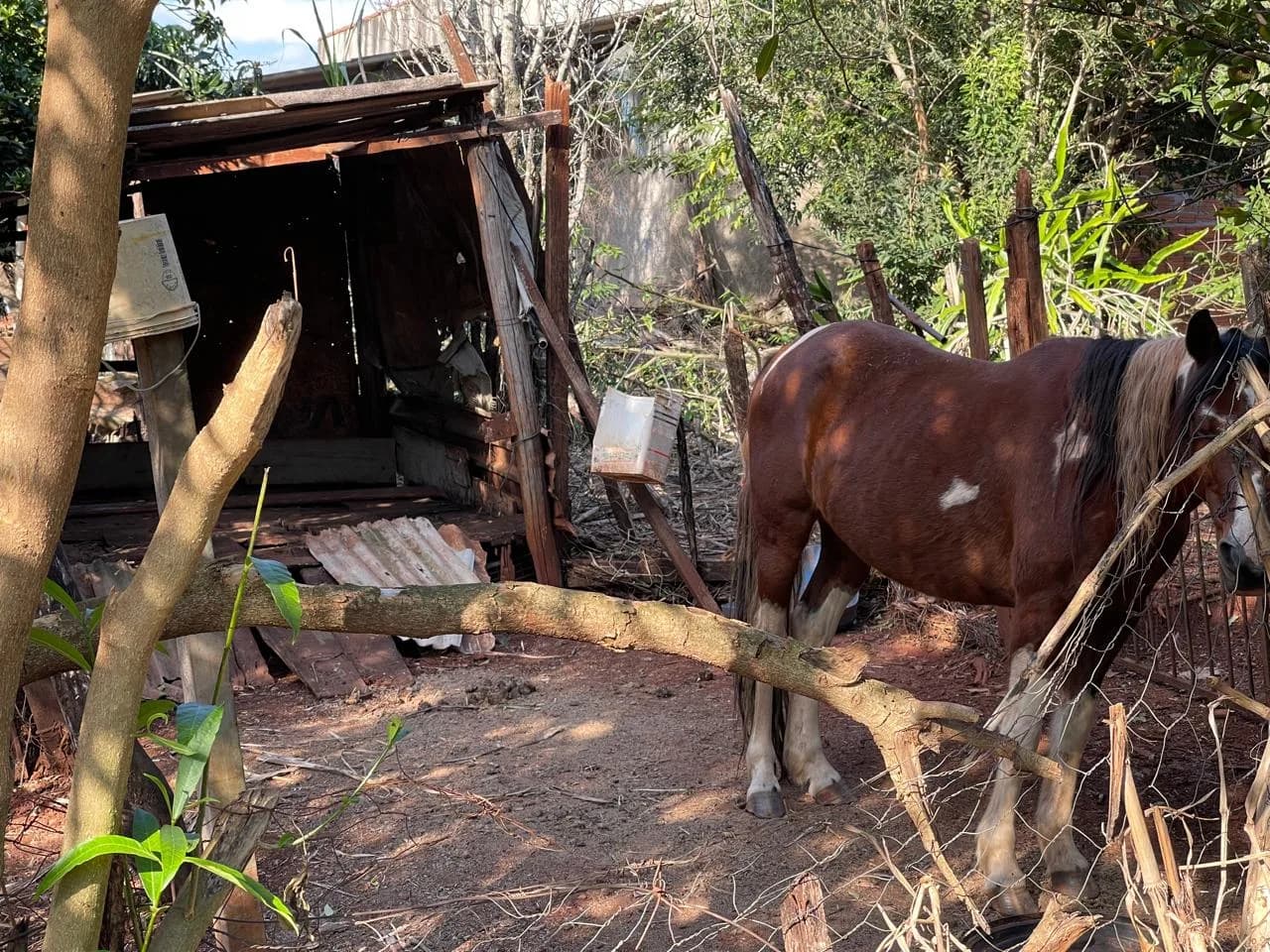 chacara à venda no Recanto do Engenho, Ibiporã