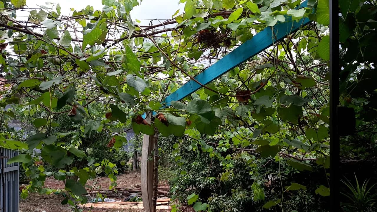 casa à venda no Jardim Morada do Sol, Ibiporã