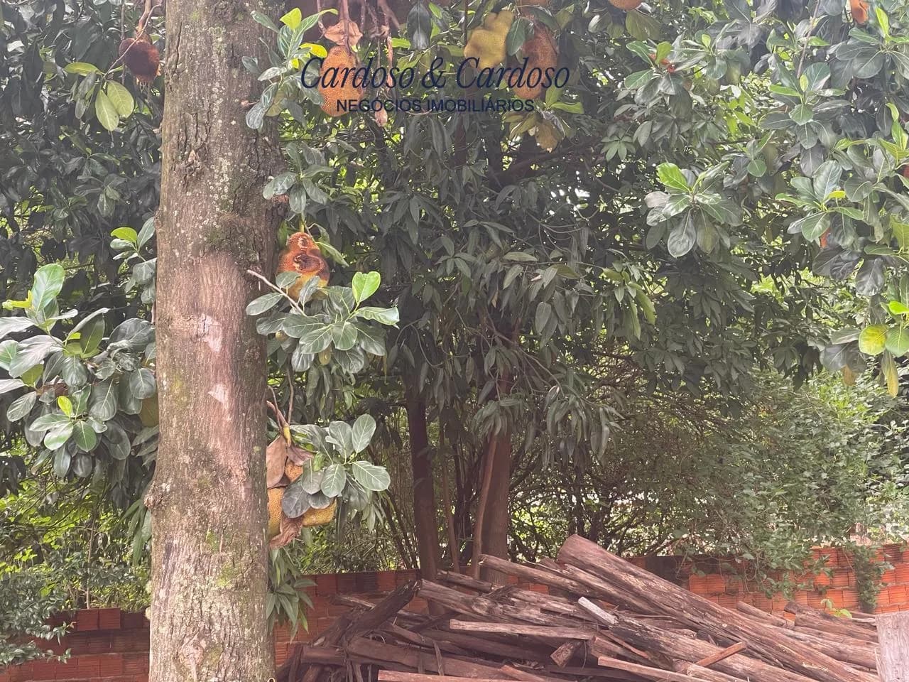 chacara à venda no Recanto do Engenho, Ibiporã