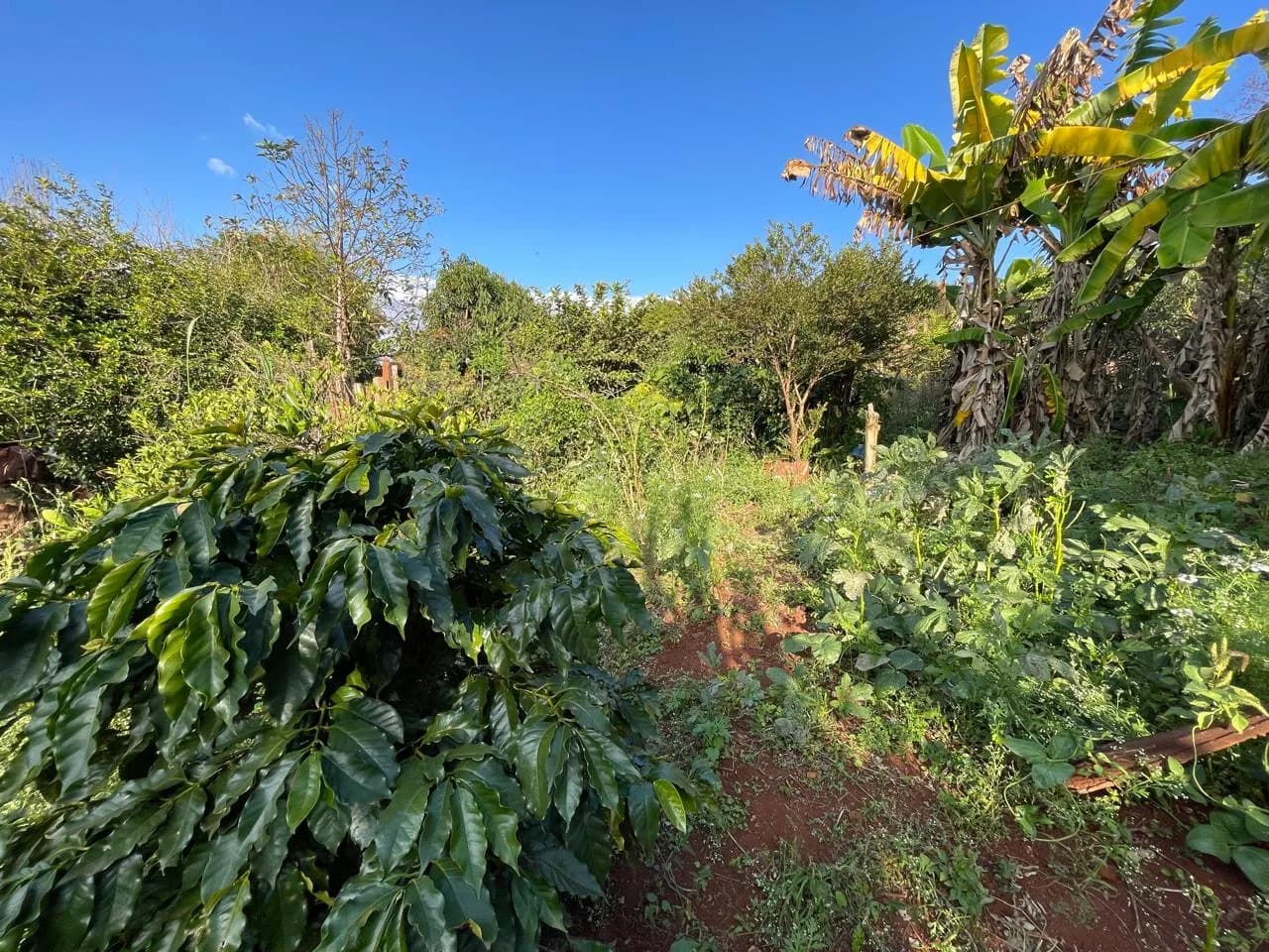 chacara à venda no Recanto do Engenho, Ibiporã