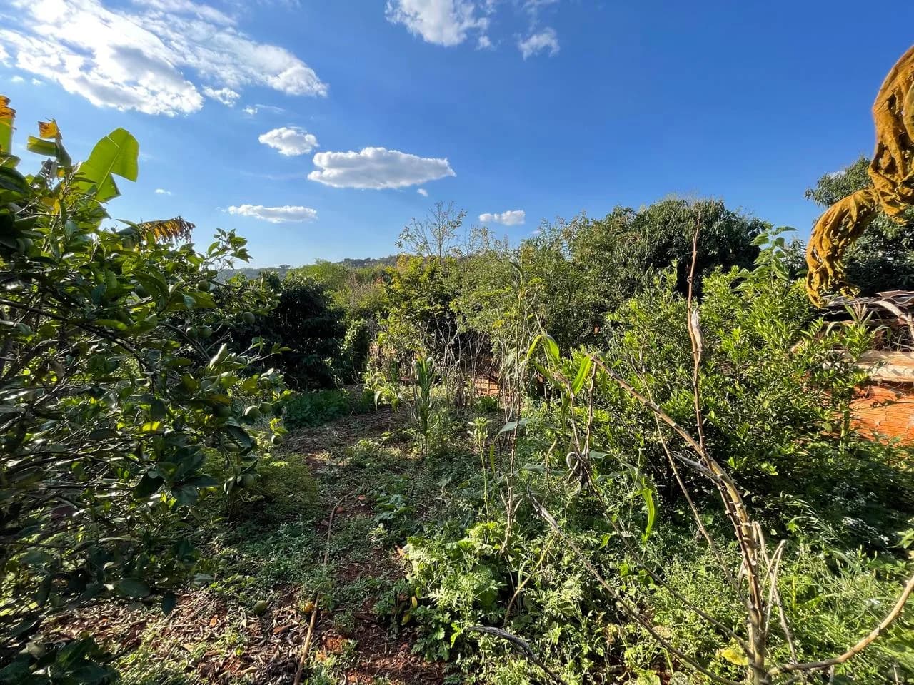 chacara à venda no Recanto do Engenho, Ibiporã
