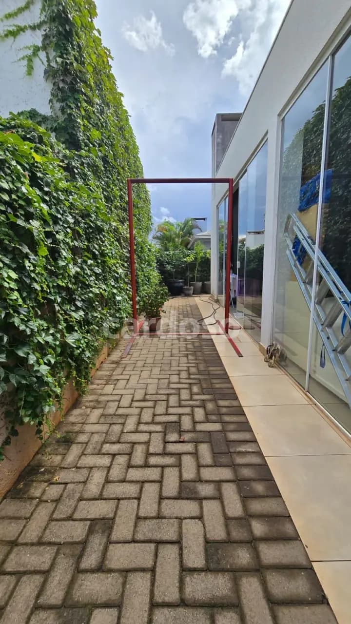 casa para alugar em Londrina