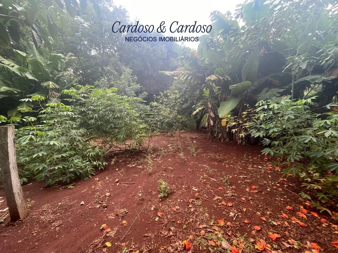 chacara à venda no Recanto do Engenho, Ibiporã