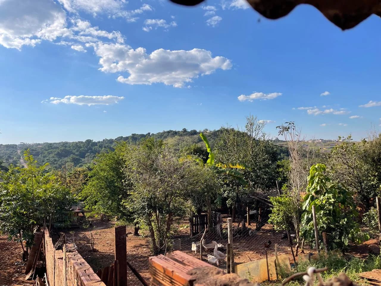 chacara à venda no Recanto do Engenho, Ibiporã