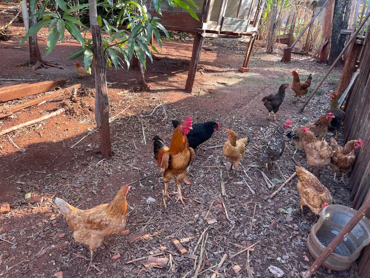 chacara à venda no Recanto do Engenho, Ibiporã
