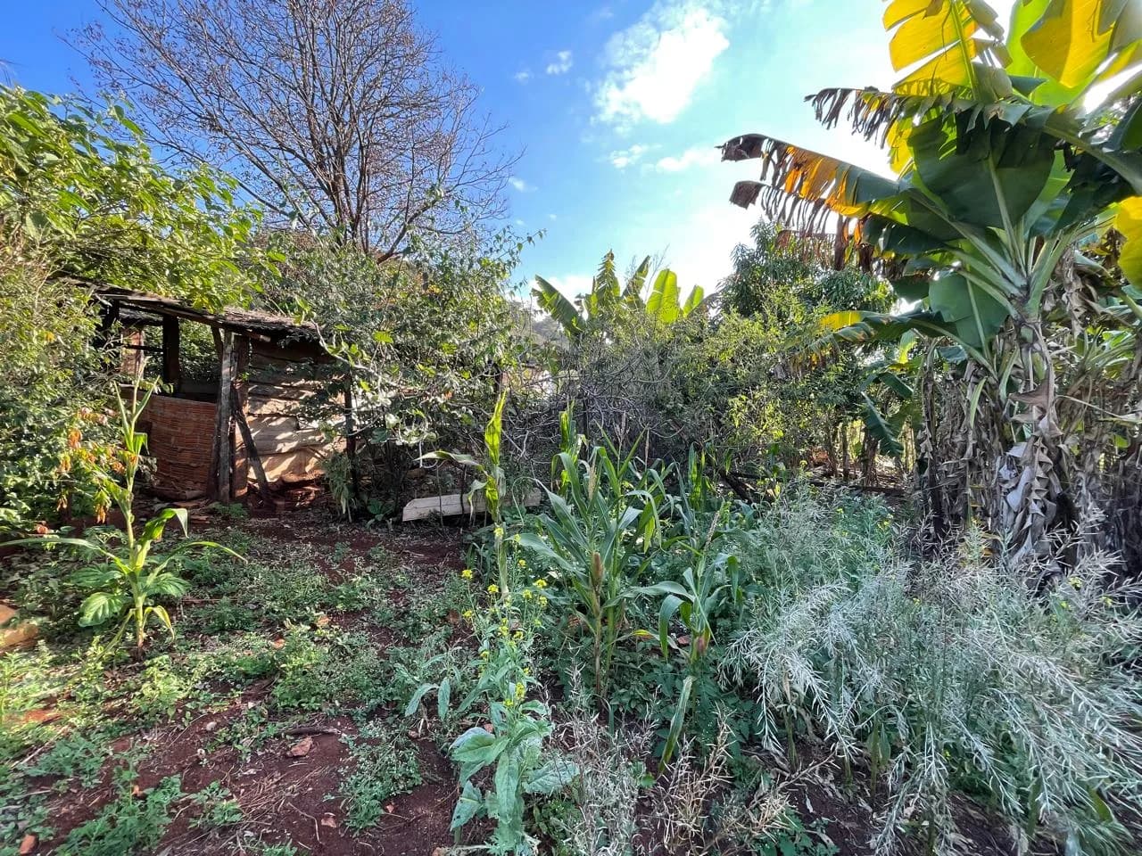 chacara à venda no Recanto do Engenho, Ibiporã