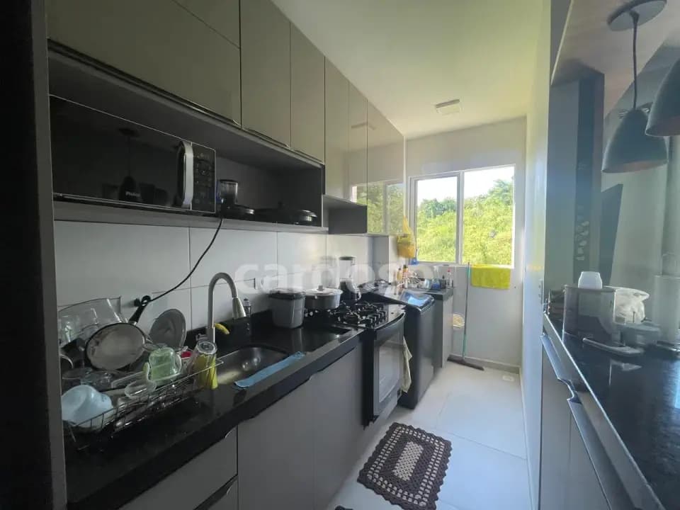 apartamento à venda em Ibiporã