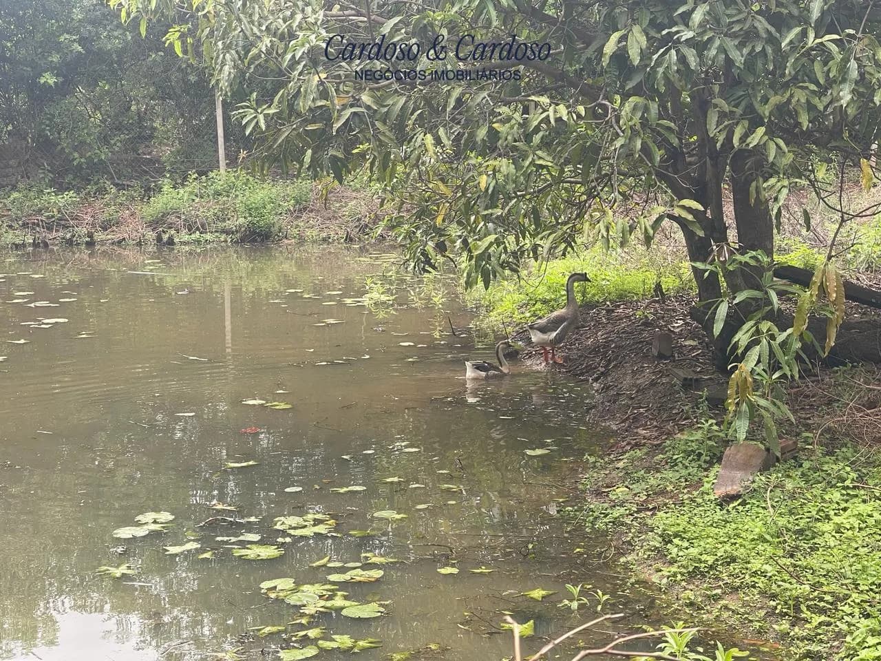 chacara à venda no Recanto do Engenho, Ibiporã